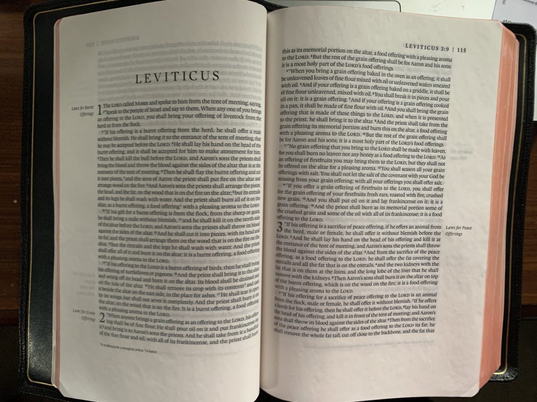 Leviticus 21  “Holy Restrictions and Godly Character”