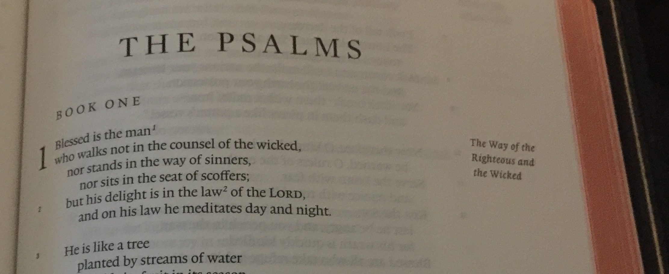 Psalm 29  “The Glorious Voice of Yahweh”